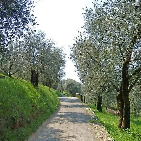 Williams