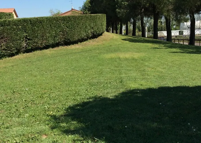 Williams * Castelnuovo del Garda